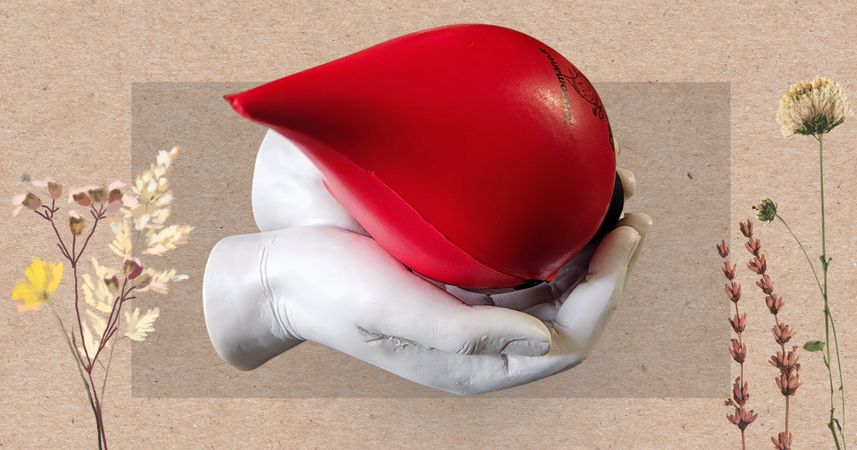 raccolta fondi monumento