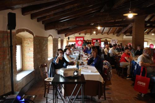 Avis romano 70 anniversario 4687
